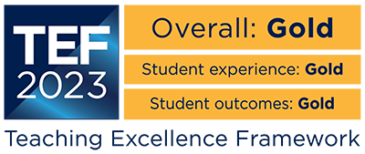 Teaching Excellence Framework (TEF) logo