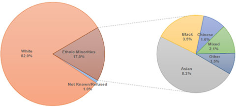 Ethnicity graph